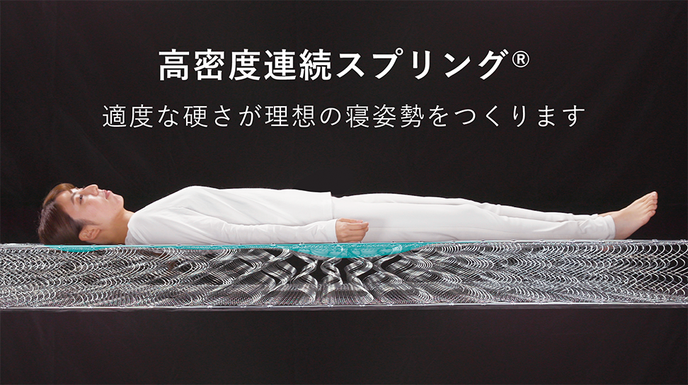 フランスベッド|LT-9900 PW MON ミディアムソフト ダブルロング(L205cm)