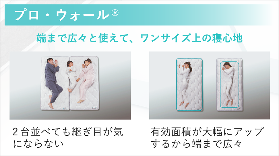 フランスベッド|LT-5500 PW MON ハード シングル