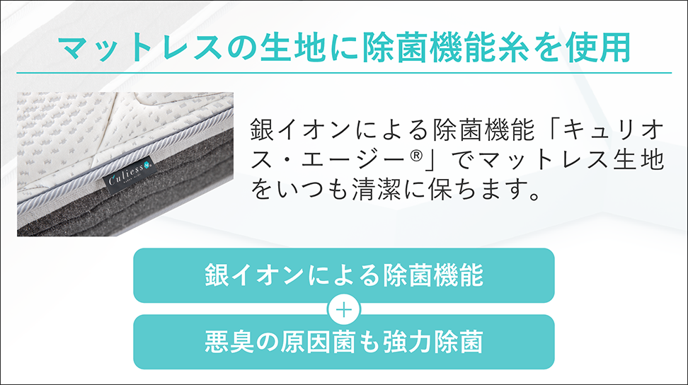 フランスベッド|LT-7000 ミディアムソフト クイーン