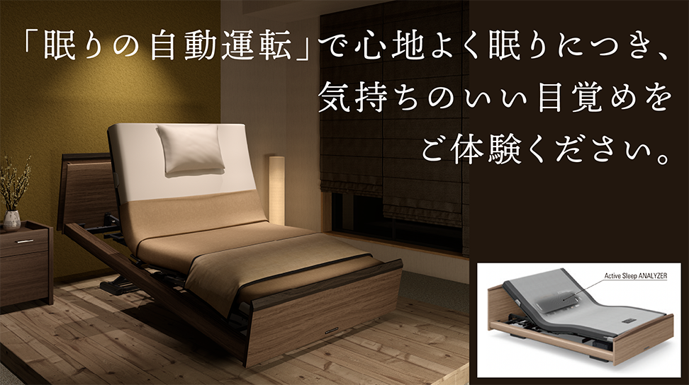 パラマウントベッド|INTIME 3000 (3モーター / キューブHB / Active Sleep ANALYZERセット) クラッシーダーク色 シングル